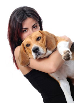 pet pain management